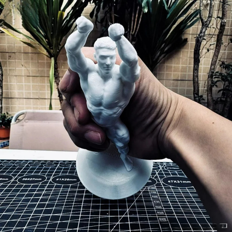 Hardcore Muskulöse Männliche W – 3D Printing Gold Bewertung und Preis